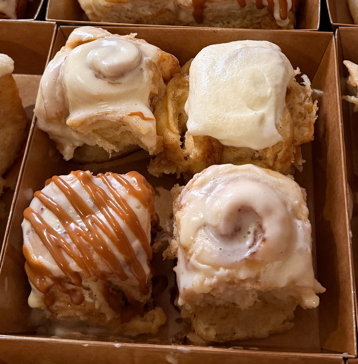 Mini Cinni Flight